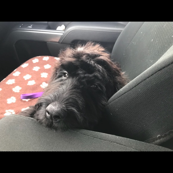 Meet your Posher, Lynn - Picture 1 of 1